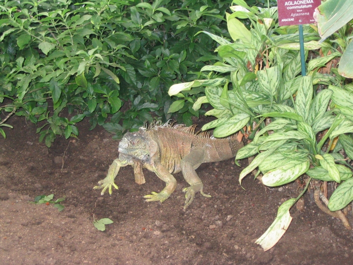 20060830170058.jpg